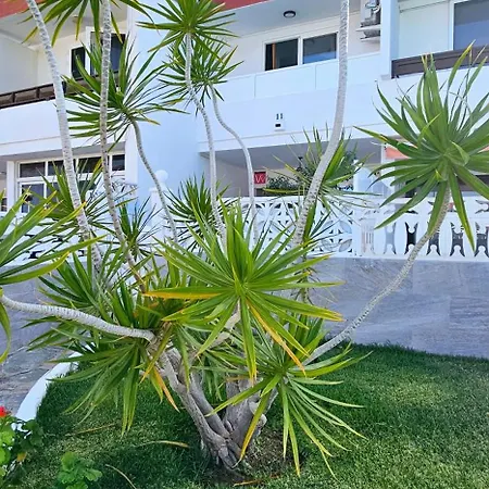 Tatil Evi Hdfm Collection - Royal Marine